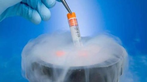 24昆明私人试管婴儿机构助孕费用详解与估算